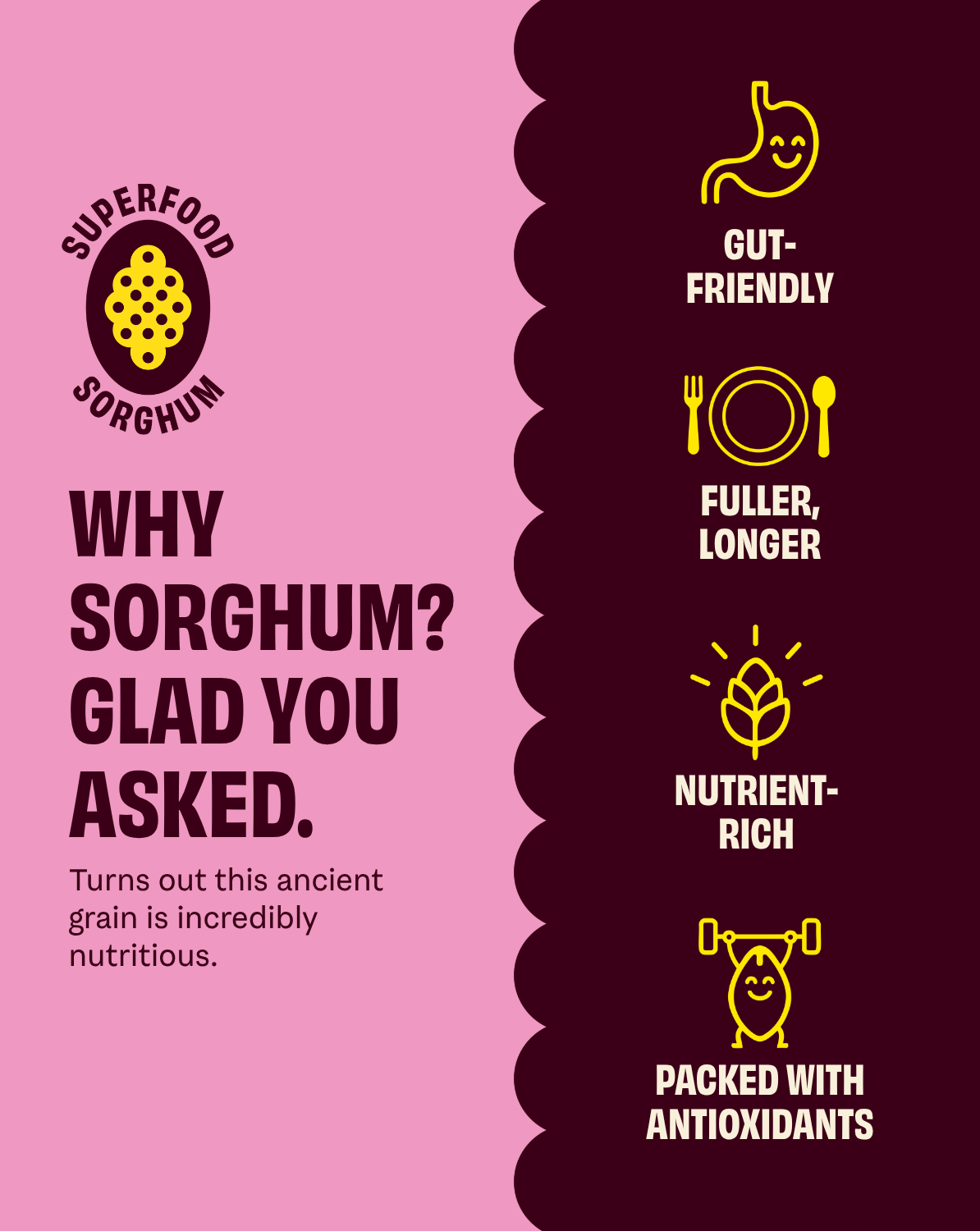 COB - Olive Oil & Pink Salt Popped Sorghum