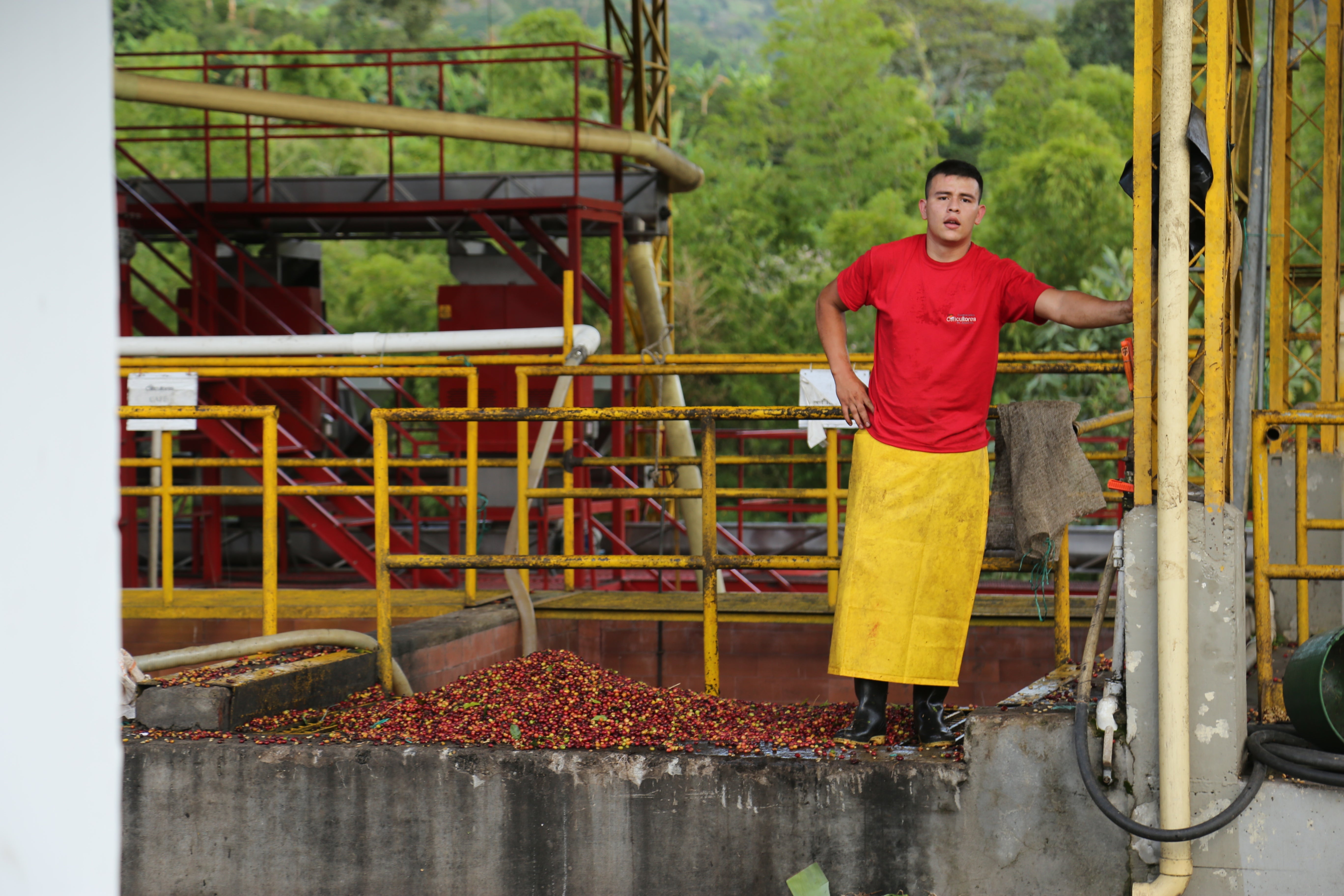 Supernatural-Rotating Natural Process Coffee