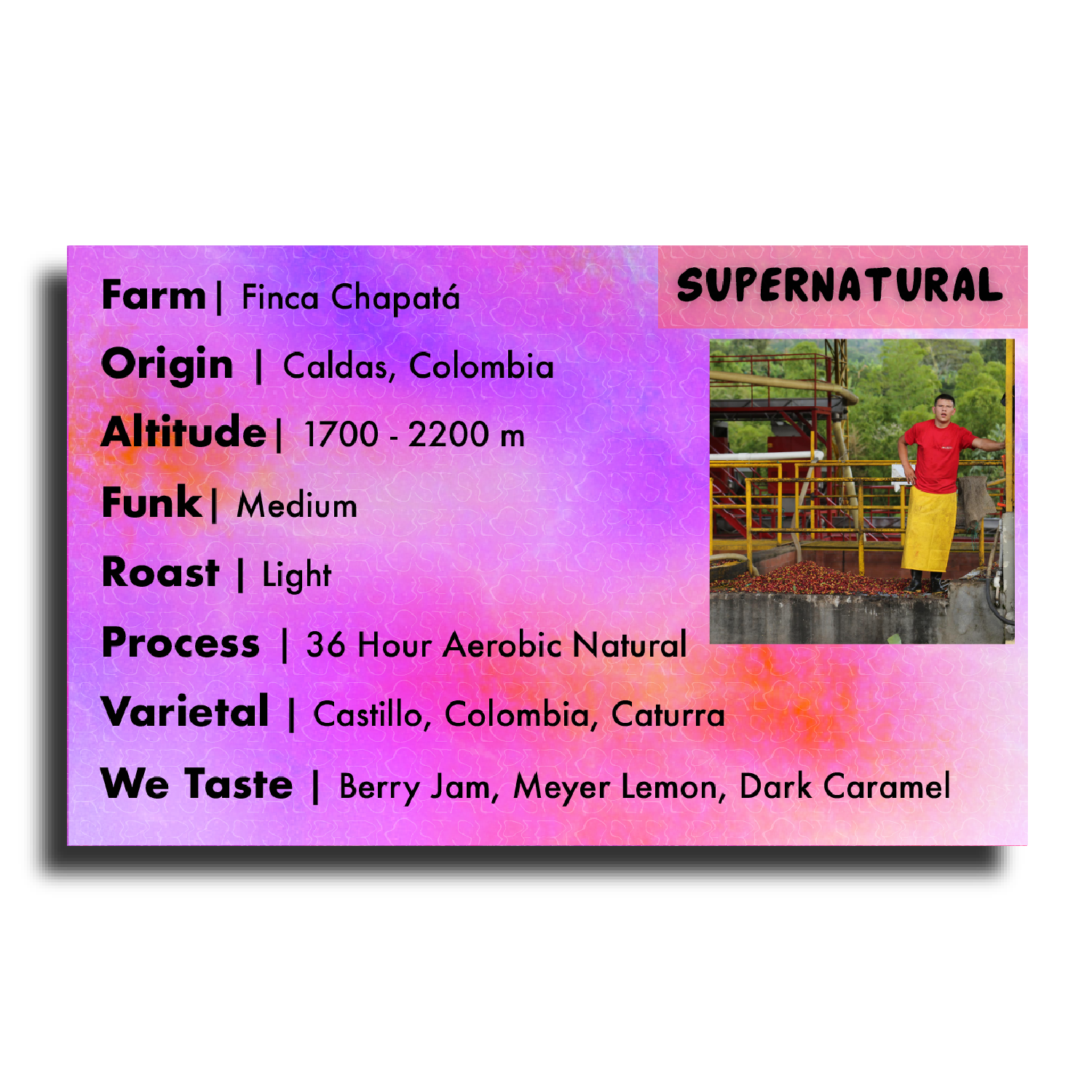 Supernatural-Rotating Natural Process Coffee